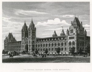 Naturhistorisk museum, 1881 av English School