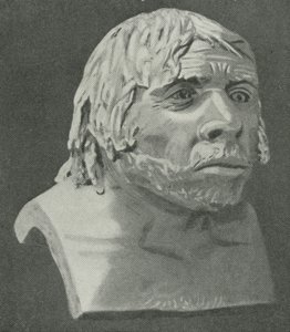 Neandertalermannen fra La Chapelle-aux-Saints av English School