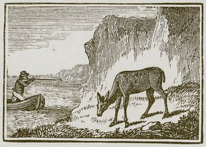 Den enøyde hinden (gravering) av English School