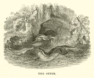 Oteren (gravering) av English School