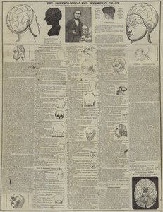 Det frenologiske og mesmeriske diagrammet av English School