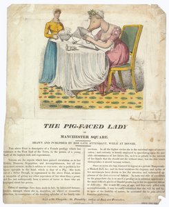 The Pig-faced Lady of Manchester Square av English School