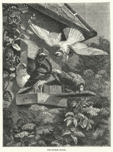 The Pigeon House (gravering) av English School