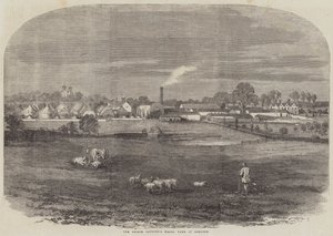 Das Modellgut des Prinzgemahls in Osborne (Gravur)