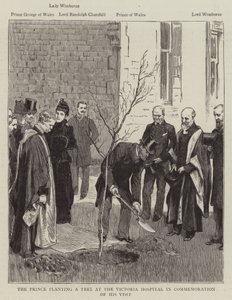 Prinsen planter et tre på Victoria Hospital til minne om besøket hans (gravering) av English School