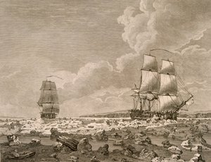 Veddeløpshest og kadaver tvinger gjennom isen, 10. august 1773, fra A Voyage Towards the North Pole Undertake by His Majestys Command 1773, publisert London 1774 av English School