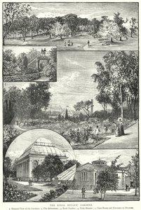 The Royal Botanic Gardens (gravering) av English School