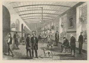 Det kongelige sykehus i Betlehem - galleriet for menn av English School