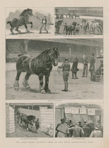 Shire Horse Society-showet i Royal Agricultural Hall av English School