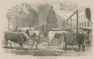 Smithfield Club Cattle Show Yard av English School
