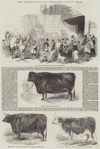 The Smithfield Club Christmas Cattle Show (gravering) av English School