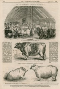 The Smithfield Club Christmas Cattle Show