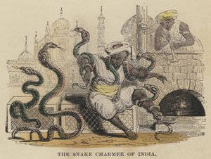 The Snake Charmer of India (farget gravering) av English School