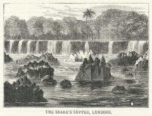 The Snake's Supper, Lundoor (gravering) av English School