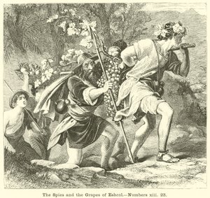 The Spies and the Grapes of Eshcol, Numbers, xiii, 23 av English School