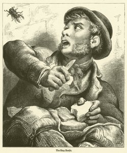 Hjortebille (gravering) av English School