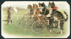 Starten, Cat Cycle Race, julekort av English School