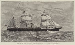 Steam-Ship Ruapehu, fra New Zealand Shipping Company (gravering) av English School