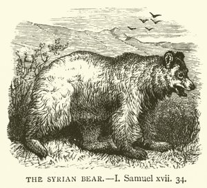 Den syriske bjørnen, I, Samuel, xvii, 34 (gravering) av English School