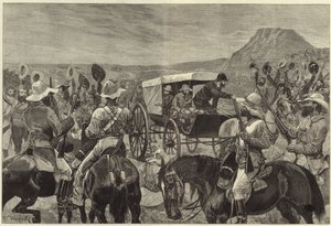 Transvaal-krigen