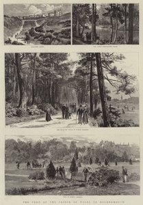Prinsen av Wales besøk i Bournemouth (gravering) av English School