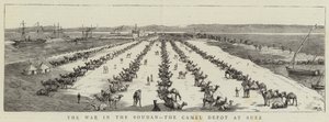 Krigen i Soudan, kameldepotet i Suez (gravering) av English School