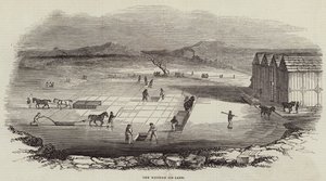 Wenham Ice Lake (gravering) av English School
