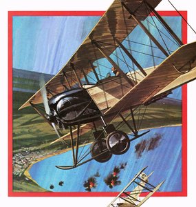 The Wooden Warrior, eller AVRO 504 av English School