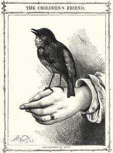 Woodhall Spa Robin (gravering) av English School