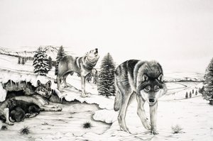 The World of Nature: 
