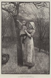 The Young Bud (gravering) av English School