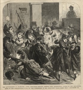 Storfeutstillingen på Islington