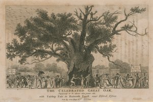 Den berømte Great Oak, ment å være over 1800 år gammel av English School