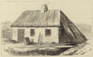 Tilstanden til Irland av English School