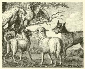 Hunden og sauen (gravering) av English School