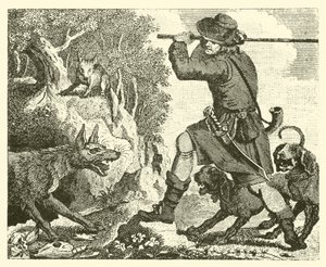 Reven og ulven (gravering) av English School