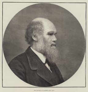 Avdøde Mr CR Darwin, FRS, LLD av English School