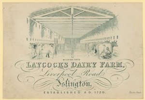 Melkeskuret, Laycocks Dairy Farm, Liverpool Road, Islington av English School