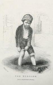 The mud-lark av English School