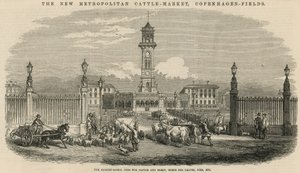 Det nye Metropolitan Cattle Market, Copenhagen Fields av English School
