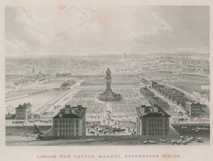 Det nye Metropolitan Cattle Market, Copenhagen Fields, London