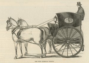 Der neue Curricle Tribus