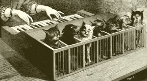 Pianoet til katter av English School