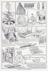 Prosessene for tobakksproduksjon (litho) av English School