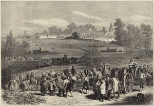 Årgangen i Medoc
