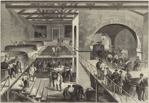 Årgangen til Medoc av English School