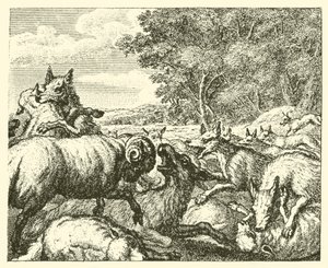 Ulvene og sauene (gravering) av English School