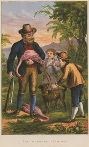 Der verwundete Flamingo von English School
