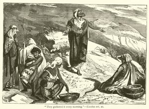 "De samlet det hver morgen", Exodus, xvi, 21 (gravering) av English School