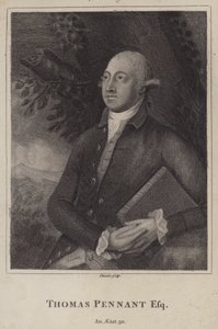 Thomas Pennant , walisisk naturforsker og topograf (gravering) av English School